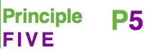 Principle5 logo